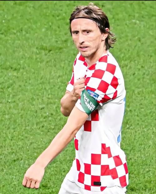 外媒：国米正在尝试引进哈伊杜克18岁中卫布拉尼米尔