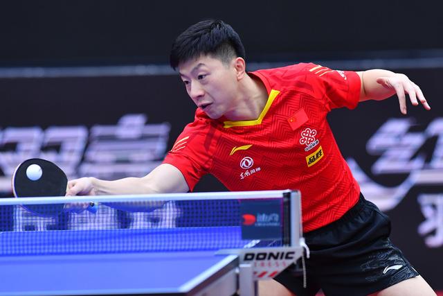 学术选择 学术选择